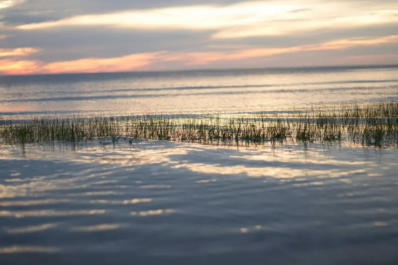 Sunset over calm bay water and marsh grass