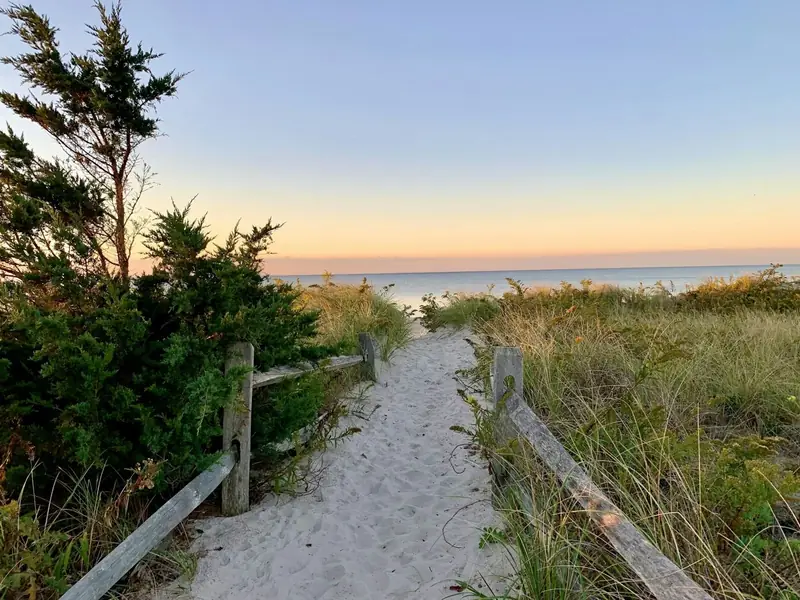 Sandy path through dune grass to the beach