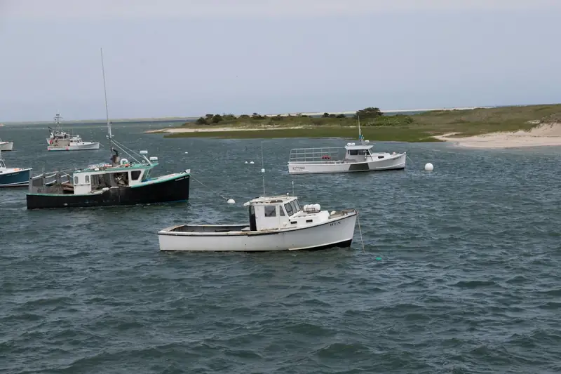 Fishing boats moored in a Cape Cod harbor