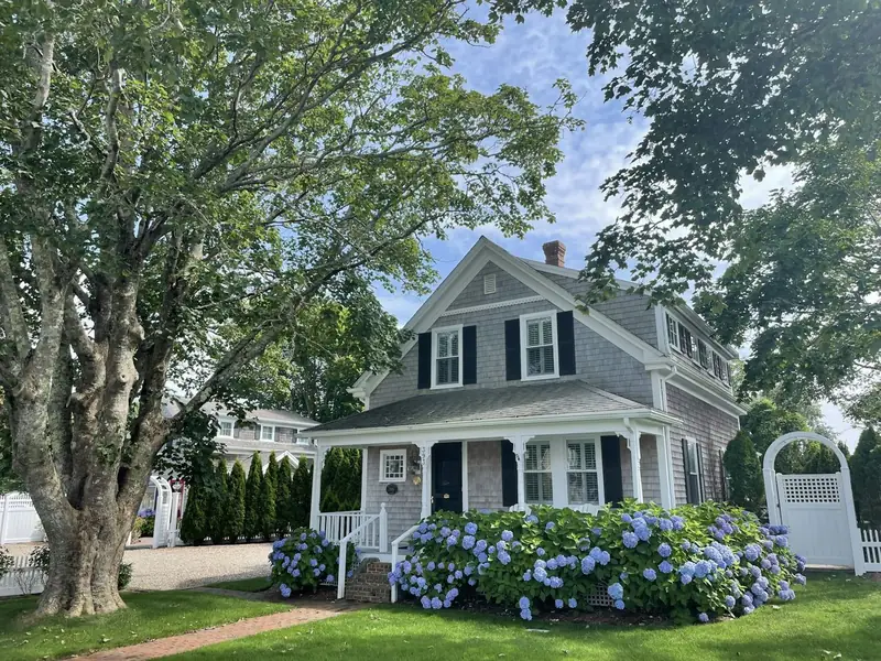 Gray-shingled Cape Cod house with blue hydrangeas